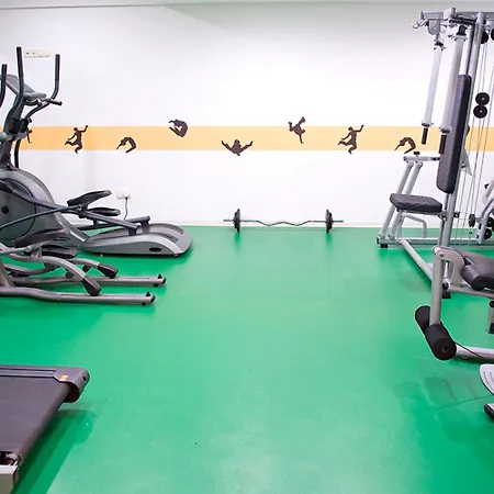 布达佩斯机场酒店 韦切什